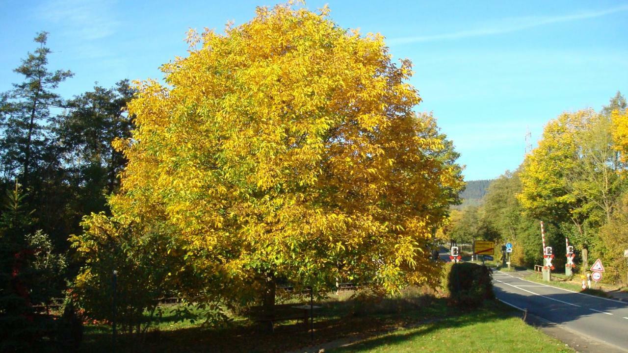 Haus Am Teutoburgerwald Daire Sandebeck Dış mekan fotoğraf